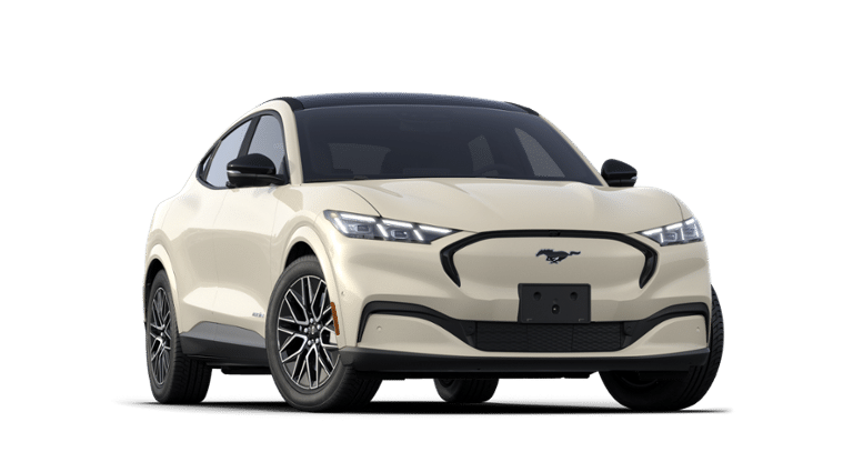 Mustang Mach-E® vehicle